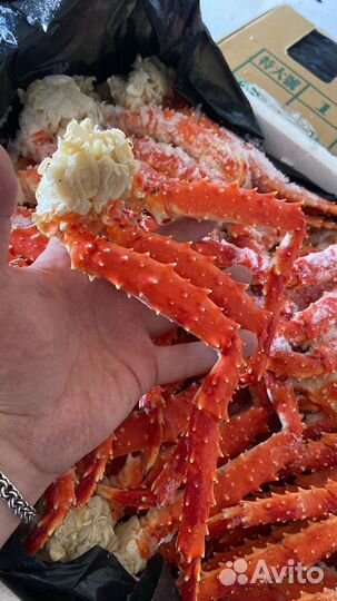 Клешни камчатского краба
