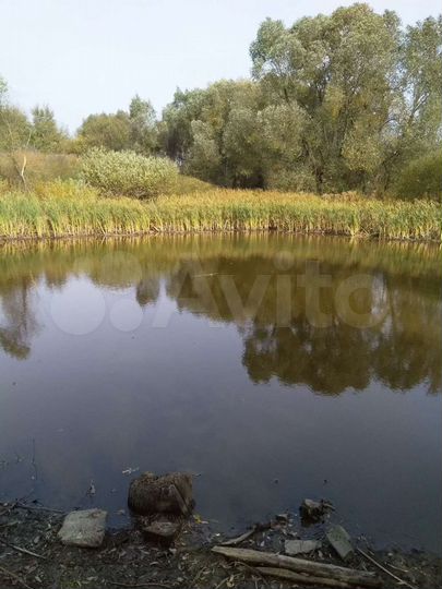 Участок 100 сот. (ИЖС)