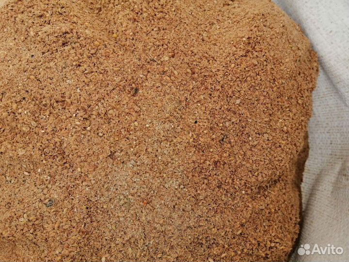 Мучка гречневая