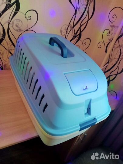 Переноска для кошек и собак. Аренда