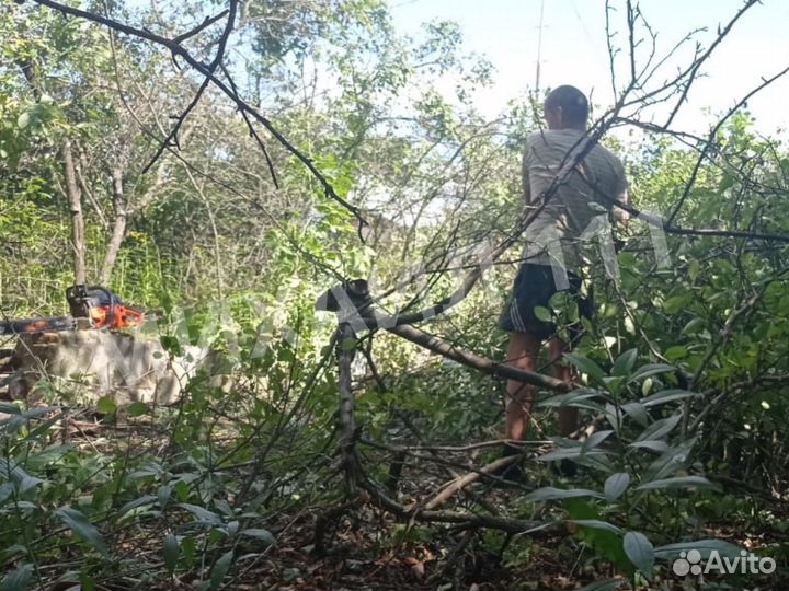 Расчистка участка, демонтаж дома, вывоз мусора