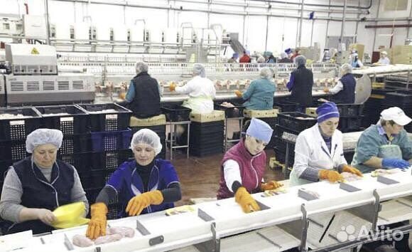 Упаковщики/цы на конвейер вахта