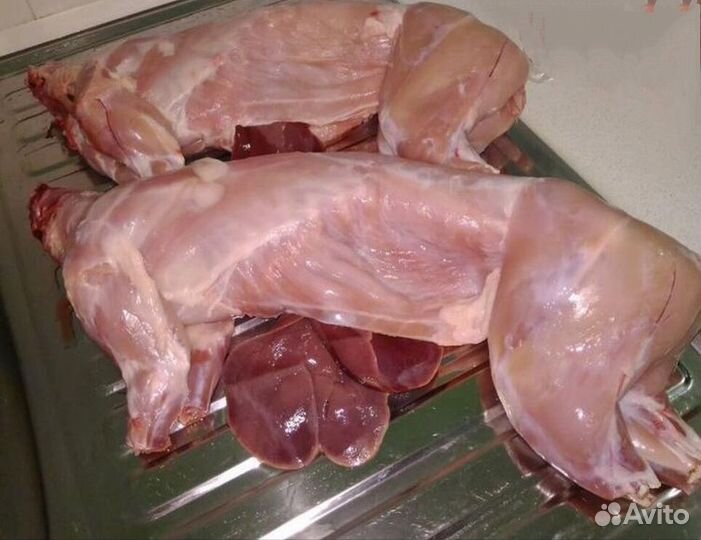 Мясо кролика, цыплят бройлеров и утки