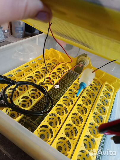 Инкубатор для яиц автоматический бу