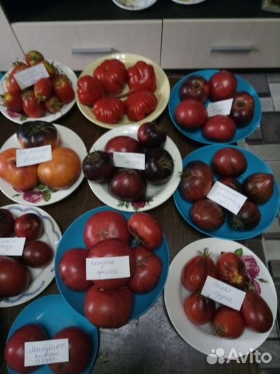 Семена томатов