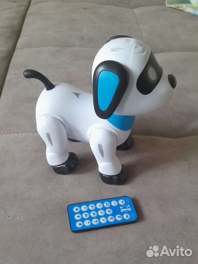 Собака робот
