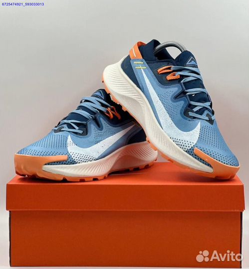 Nike Pegasus Trail 2