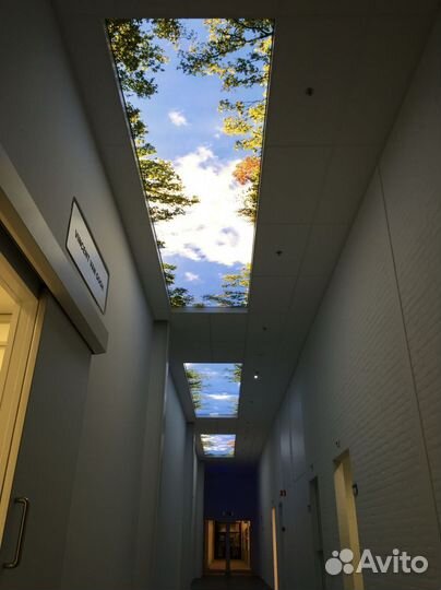 Натяжные потолки