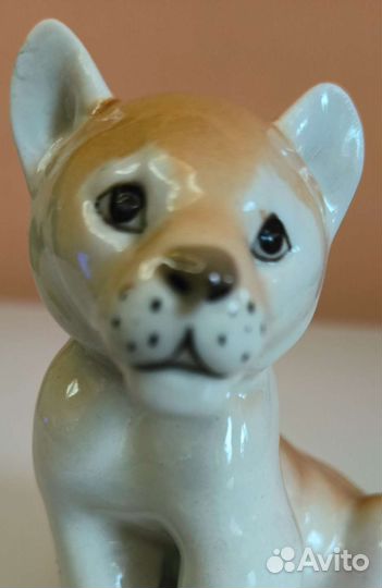 Львенок большой лфз