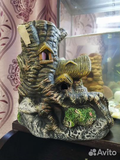 Декарация в аквариум