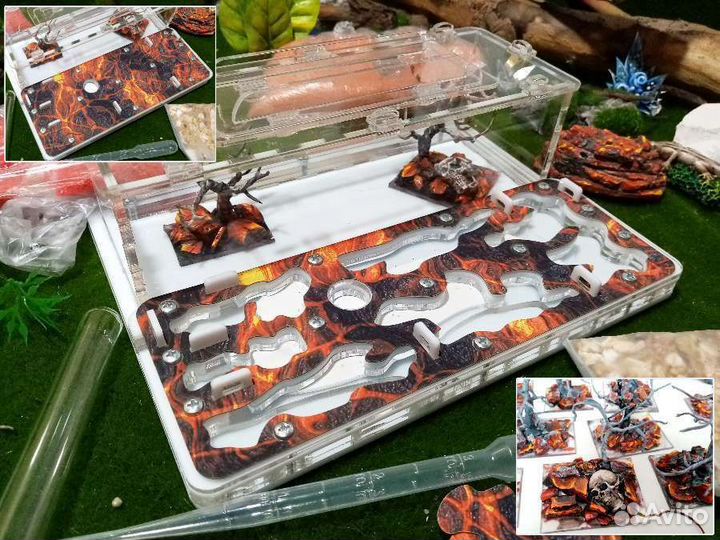 Муравьиная ферма с муравьями