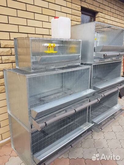 Клетка для кур несушек,бройлеров,перепелов