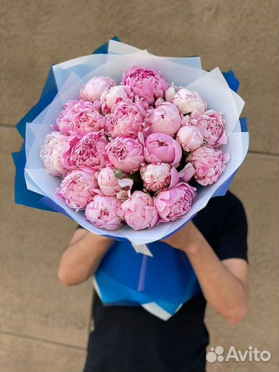 Пионы голландские