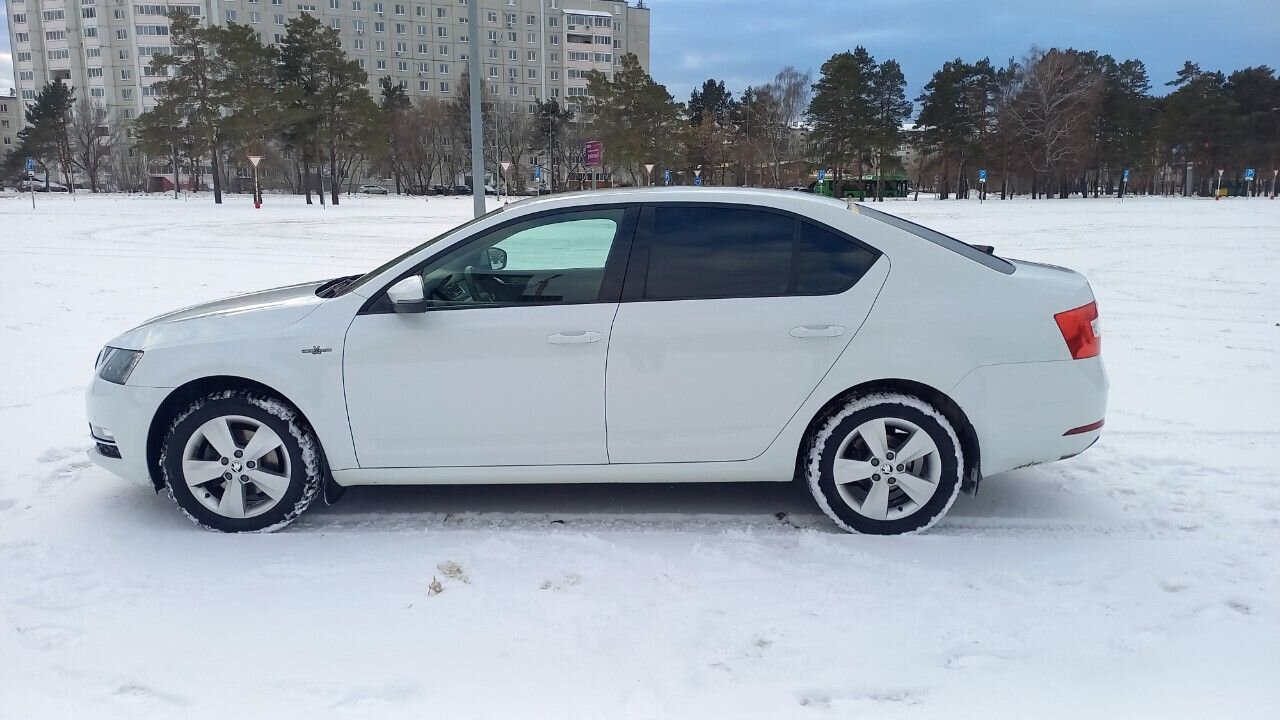 Skoda Octavia: фото владельца