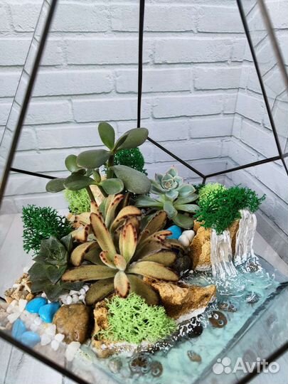 Флорариум, подарок, декор в интерьер