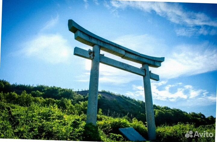 Сахалин летом путевка экскурсия до 8 дн