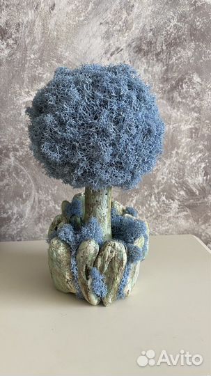 Деревце с мхом