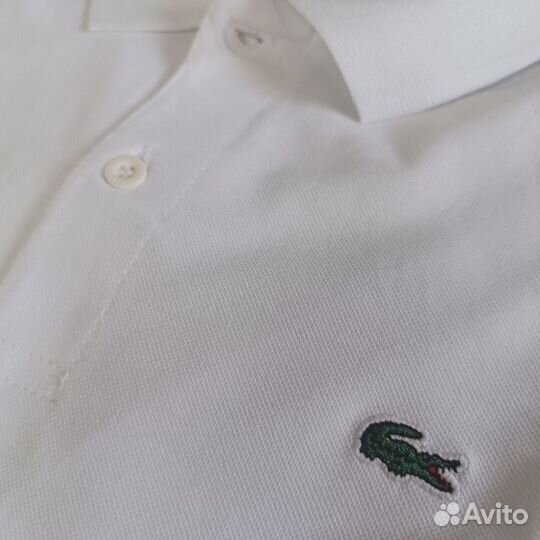 Polo lacoste