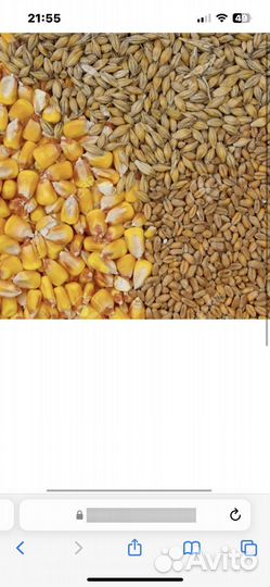 Комбикорм, Зерно в Тамбове