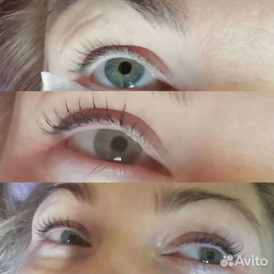 Обучение индивидуальное ламинирование ресниц брови