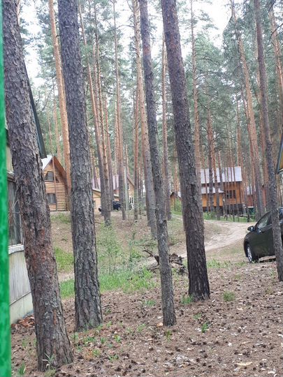 Участок 9 сот. (ИЖС)