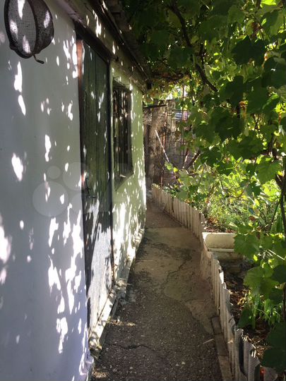 Дом 50 м² на участке 4 сот.