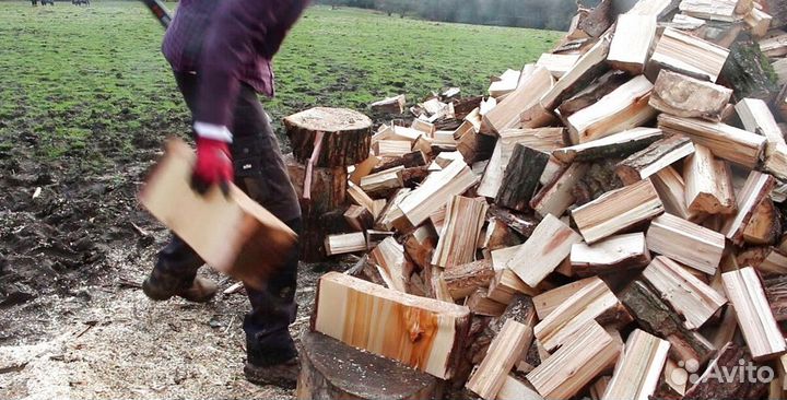 Дрова береза осина
