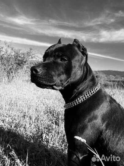 Сольемся в экстаз