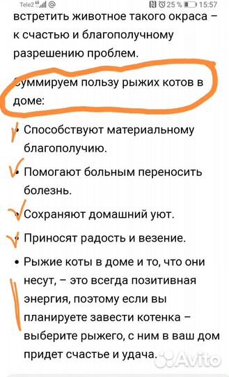 Котята в добрые руки бесплатно