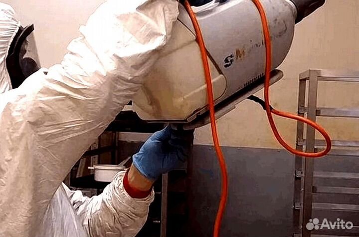 Уничтожение клопов тараканов клещей