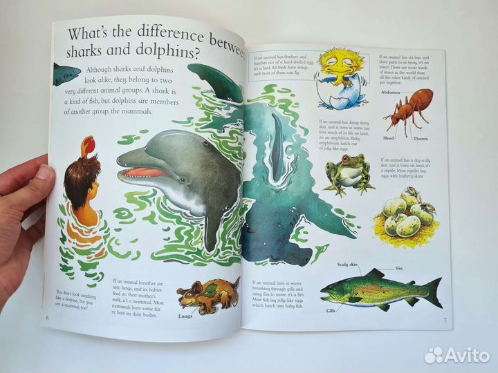 Новые детские книги на английском языке