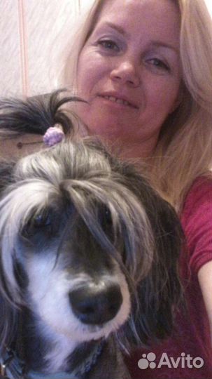 Уход за животными на время отпуска