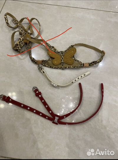 Одежда для мини собачки