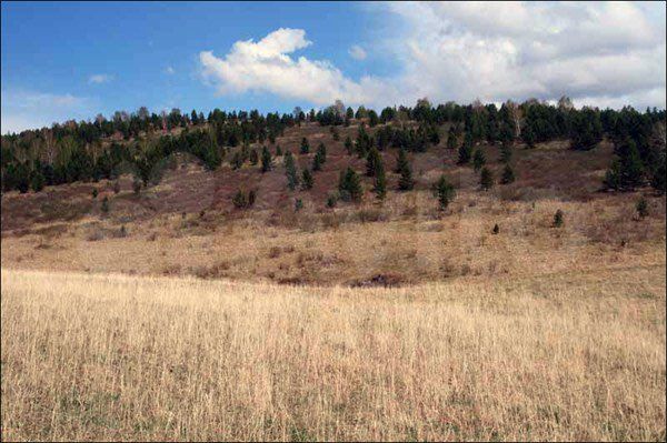 Участок 70 га (СНТ, ДНП)