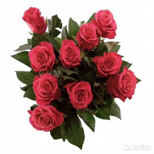 Букет из роз Pink Tacazzi Премиум 60 см