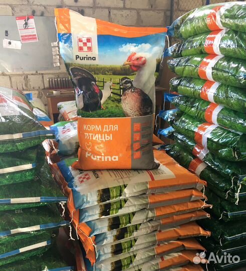 Комбикорм Purina Гроуер для индейки 9-15 недель