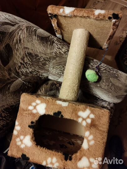 Когтеточка и кошачий домик с игрушкой