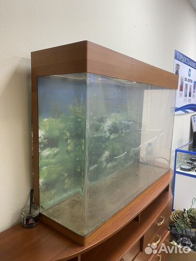 Аквариум для рыб