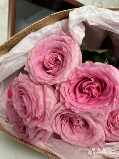 Доствка для Евы