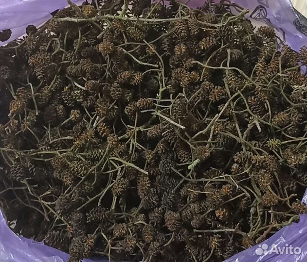 Шишки ольхи
