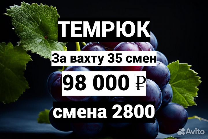 Оператор производственной линии / Темрюк / Вино