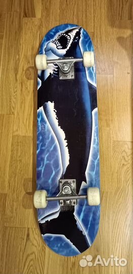 Скейтборд акула