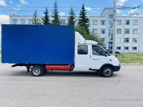 Картинки и фото газель
