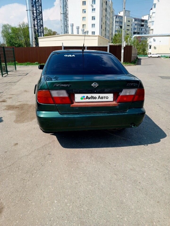 Nissan Primera: фото владельца