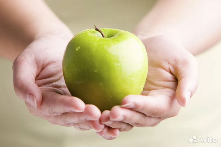 Сортировщик яблок. Подработка с ежедневной оплатой