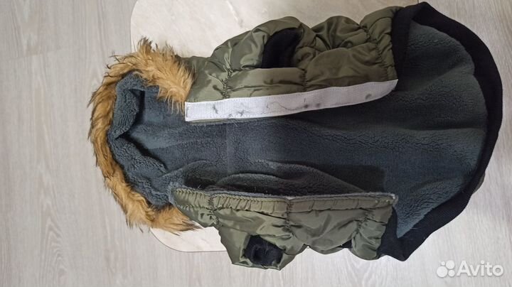 Одежда для собак мелких пород