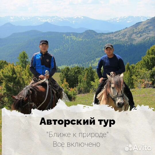 Туры по Алтаю 