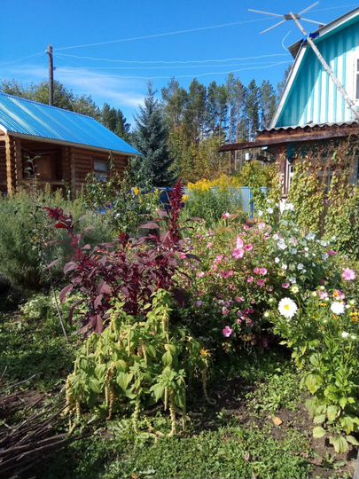 Дача 30 м² на участке 6 сот.