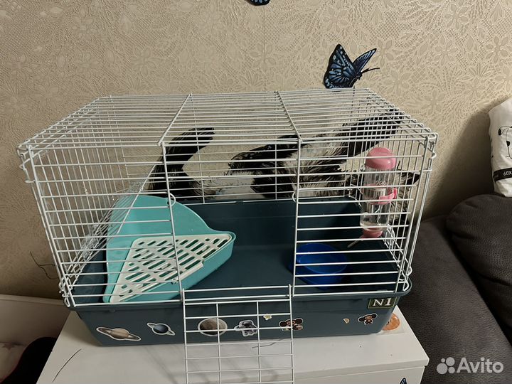 Клетка для декоративного кролика