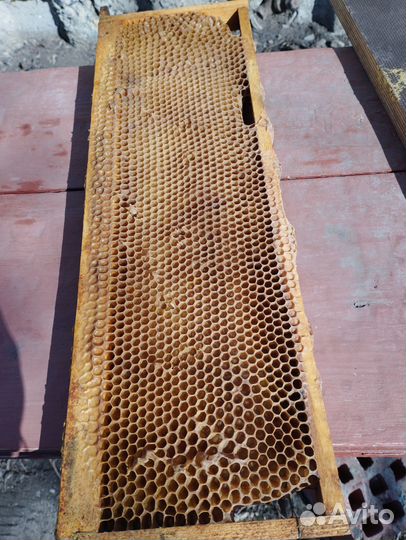 Рамки с сушью